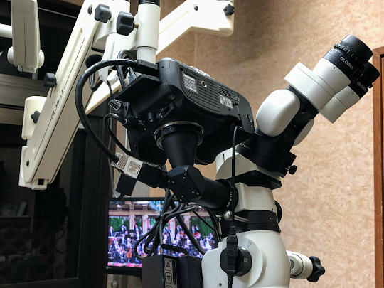 Fully Equipped: interventi con il microscopio